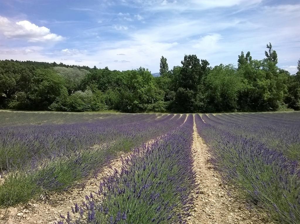 Hotel Sainte Anne "Le Verdon" Les Salles-sur-Verdon Bagian luar foto